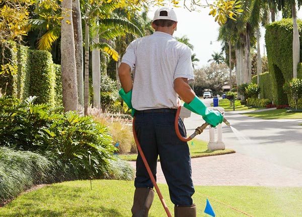 About Lunenburg MA Pest Control Pros